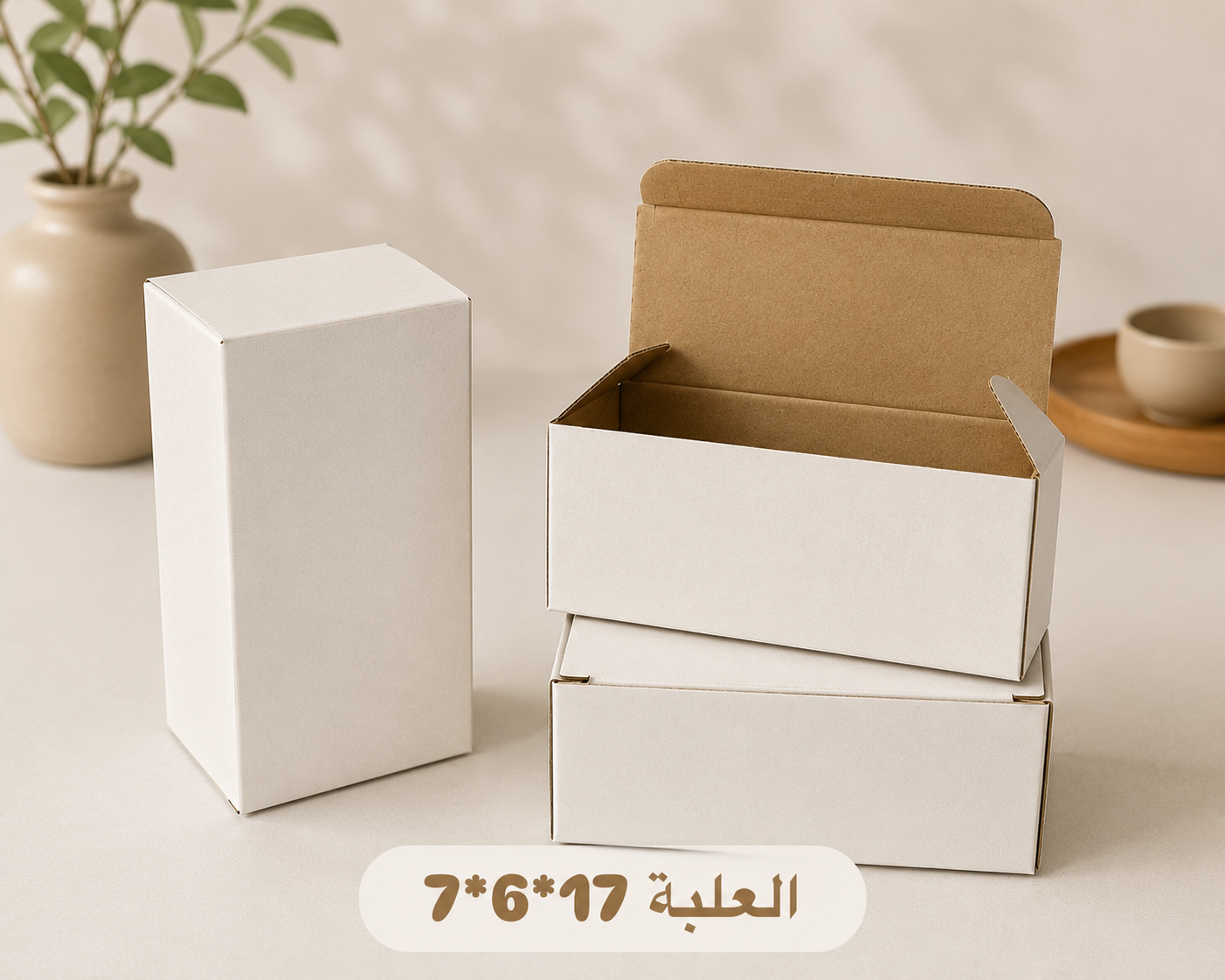 Boîte 17*6*7 (50pcs)