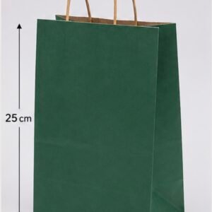 sac en papier vert 20*25