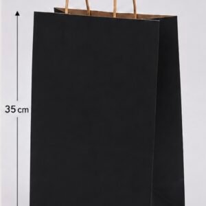 sac en papier noir 25*35